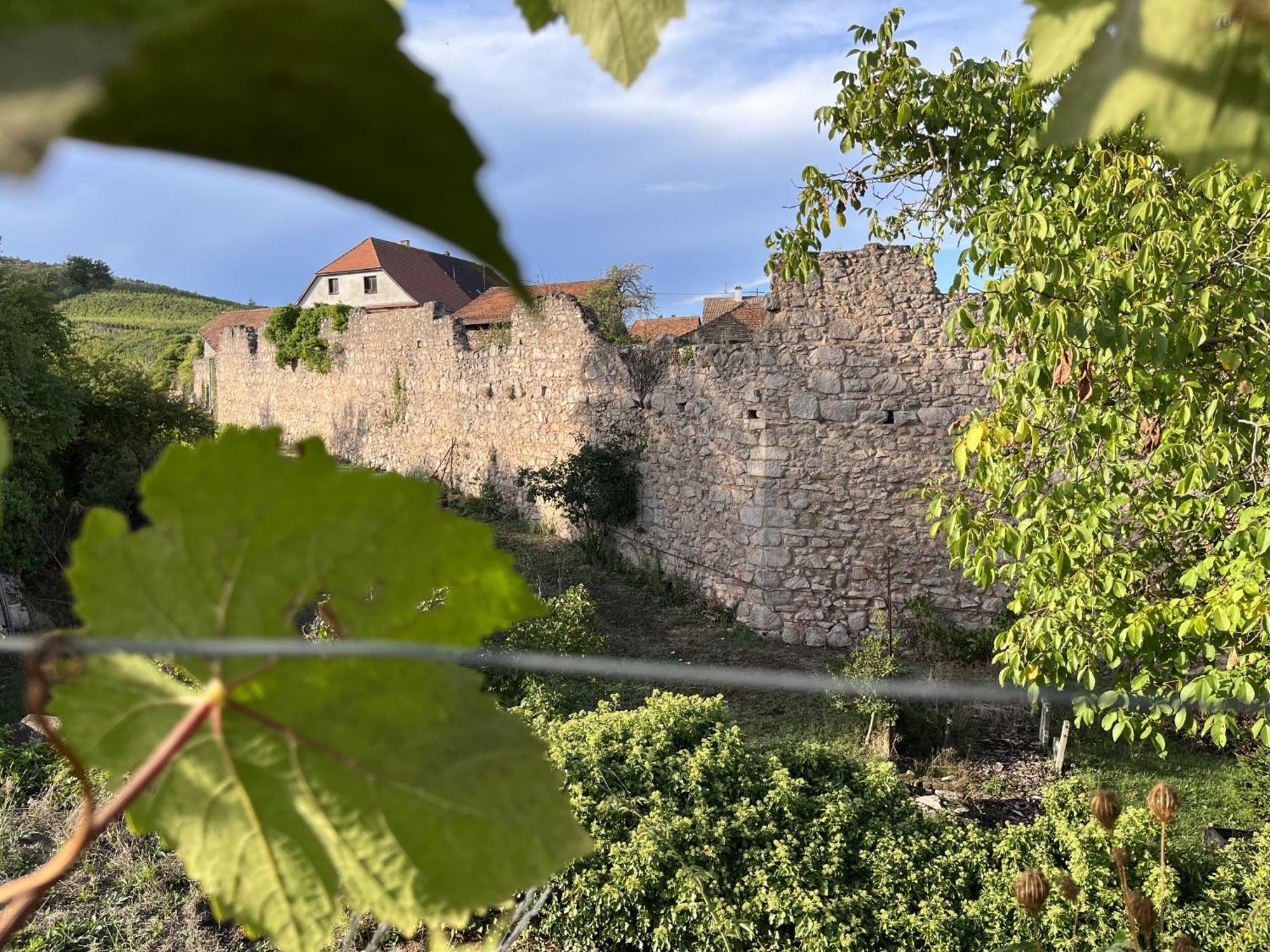 Le Refuge Du Rempart Hotel Dambach Стая снимка