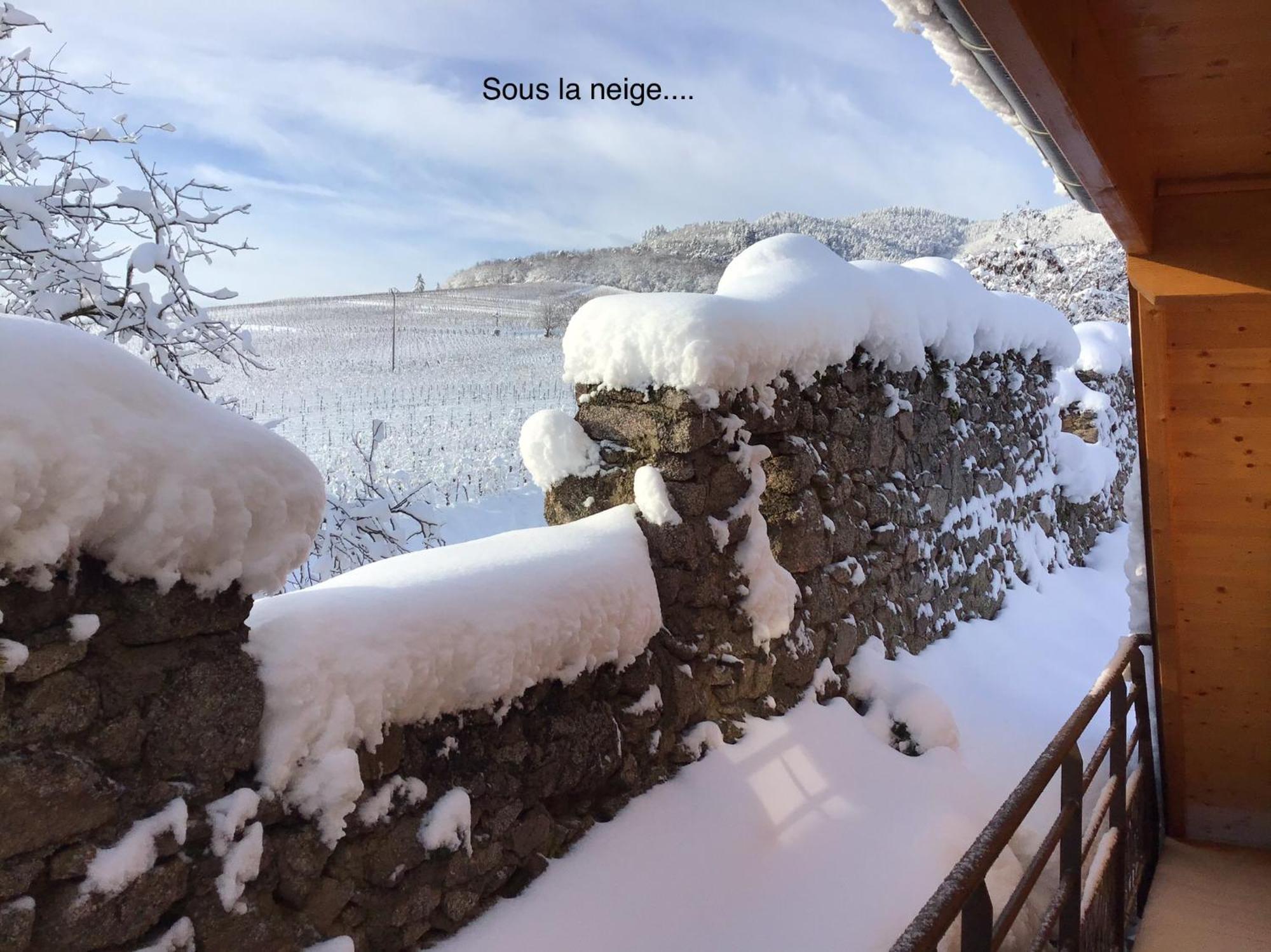 Le Refuge Du Rempart Hotel Dambach Стая снимка
