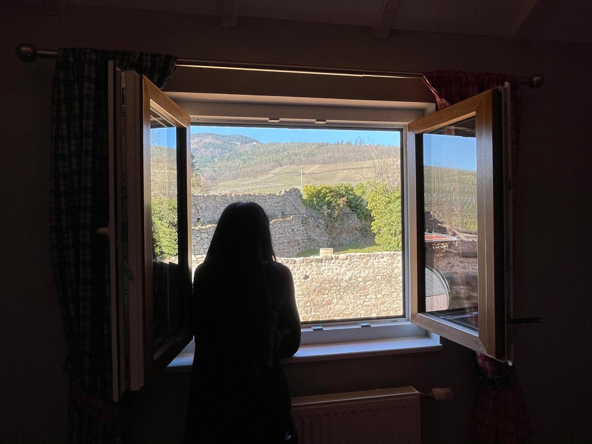 Le Refuge Du Rempart Hotel Dambach Стая снимка